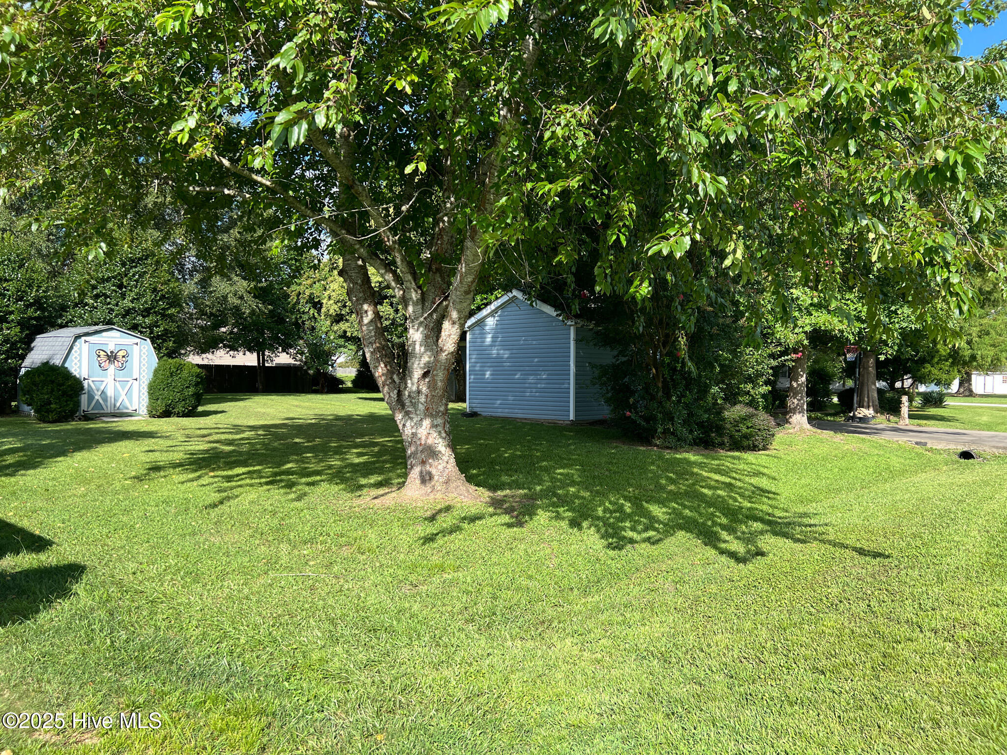 311 Ferry Road Elizabeth City, NC 27909 - Photo 23 of 58 yard