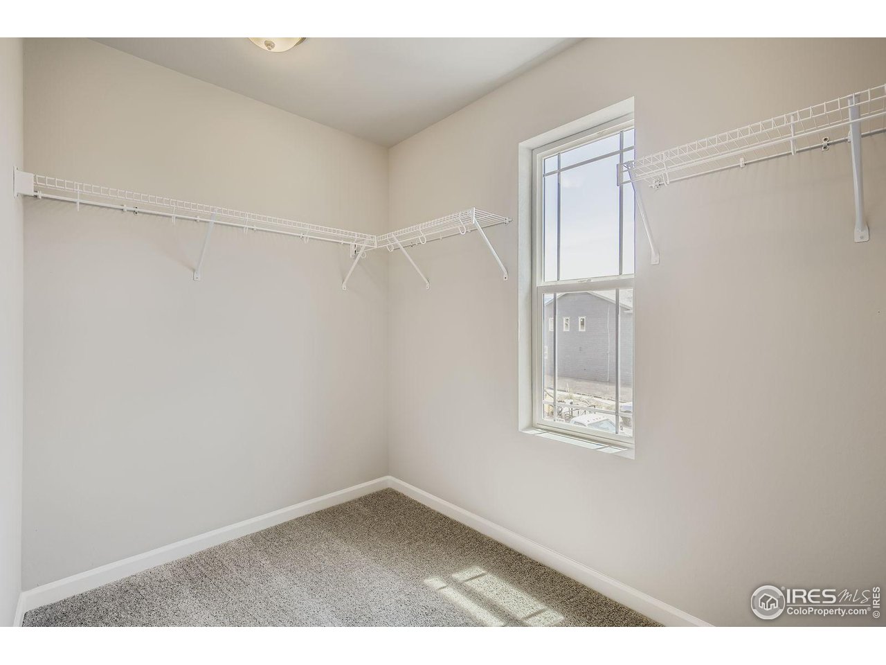 2318 Walbridge Road Fort Collins, CO 80524 - Photo 10 of 26 Primary Walk In Closet