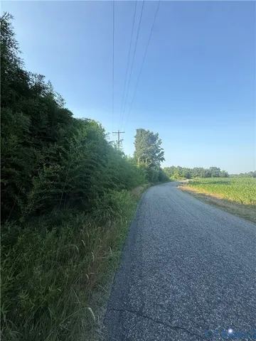 a view of a yard with plants and a tree