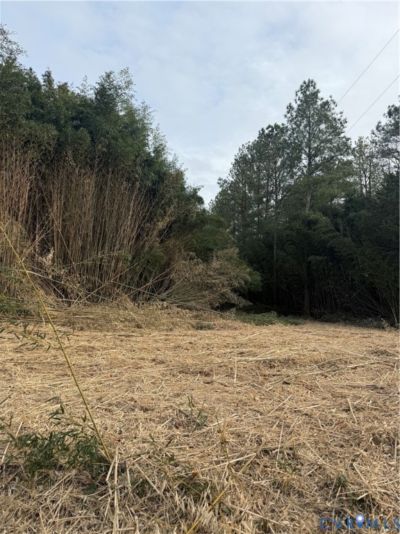 0 Cedon Road Woodford, VA 22580 - Photo 5 of 14