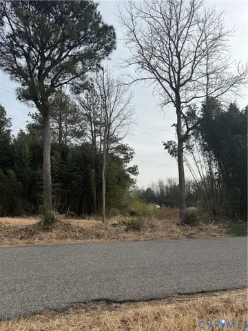 a view of a yard with a tree