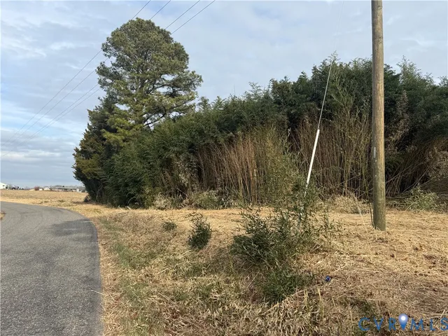 a view of backyard with tree