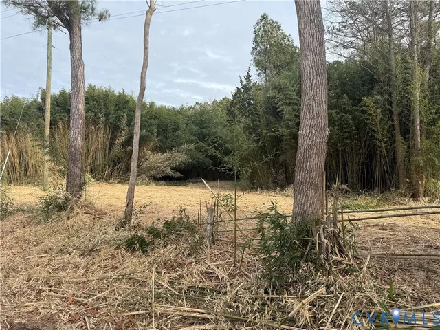 a view of an outdoor space and a yard