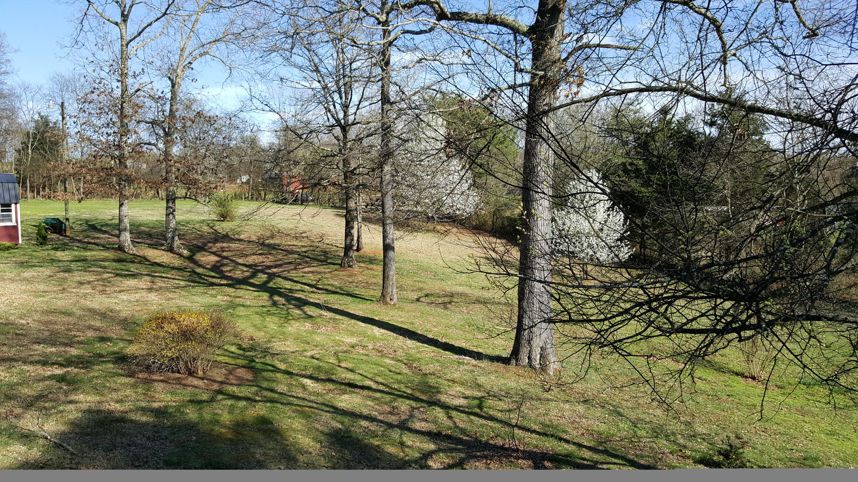 1650 Sheets Hollow Road Greenback, TN 37742 - Photo 2 of 9 sheets 2