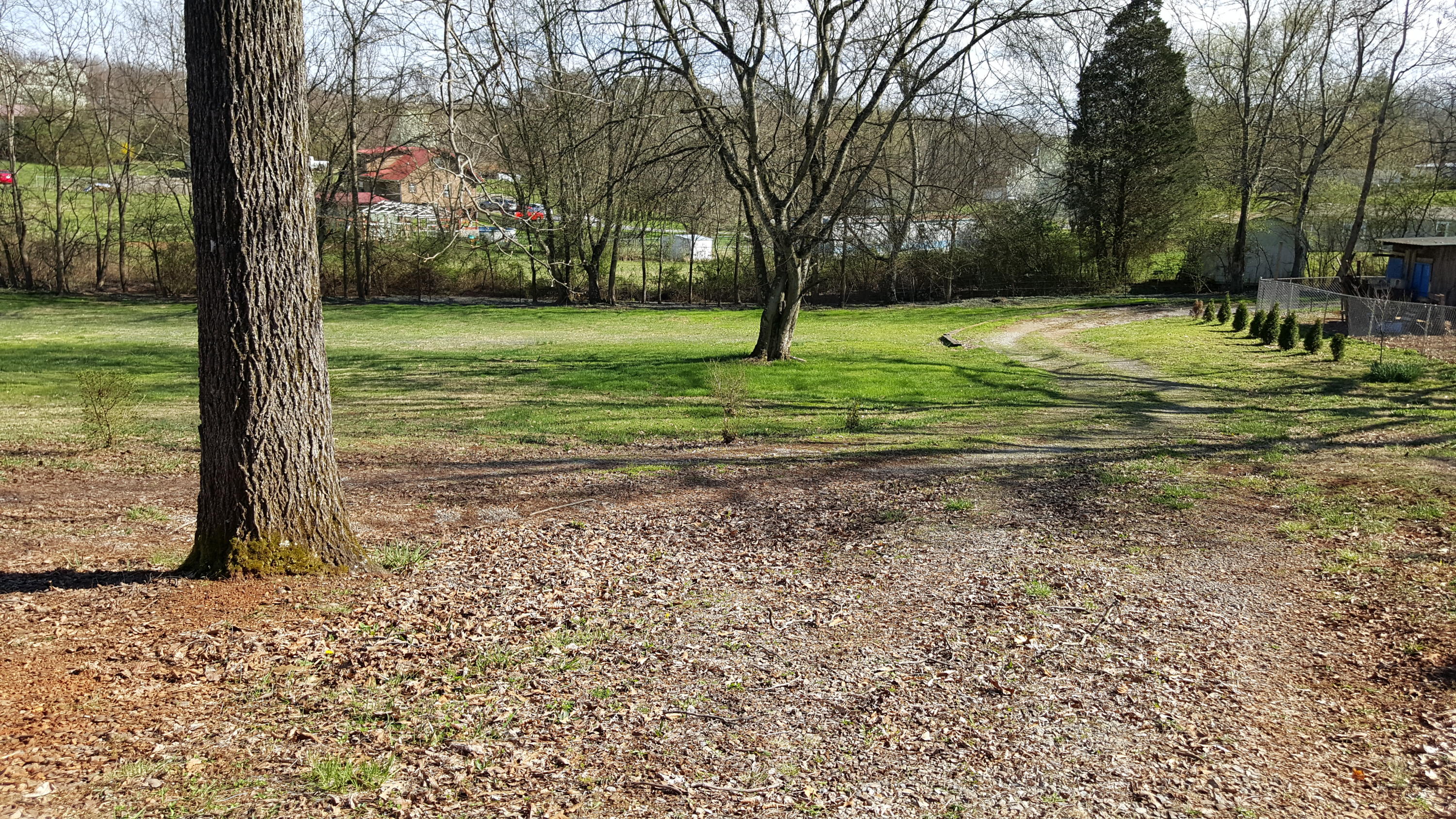 1650 Sheets Hollow Road Greenback, TN 37742 - Photo 3 of 9 sheets 4
