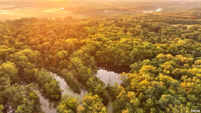 $1,715,500 | 1669 Sherwood Road, Dahinda, IL 61428