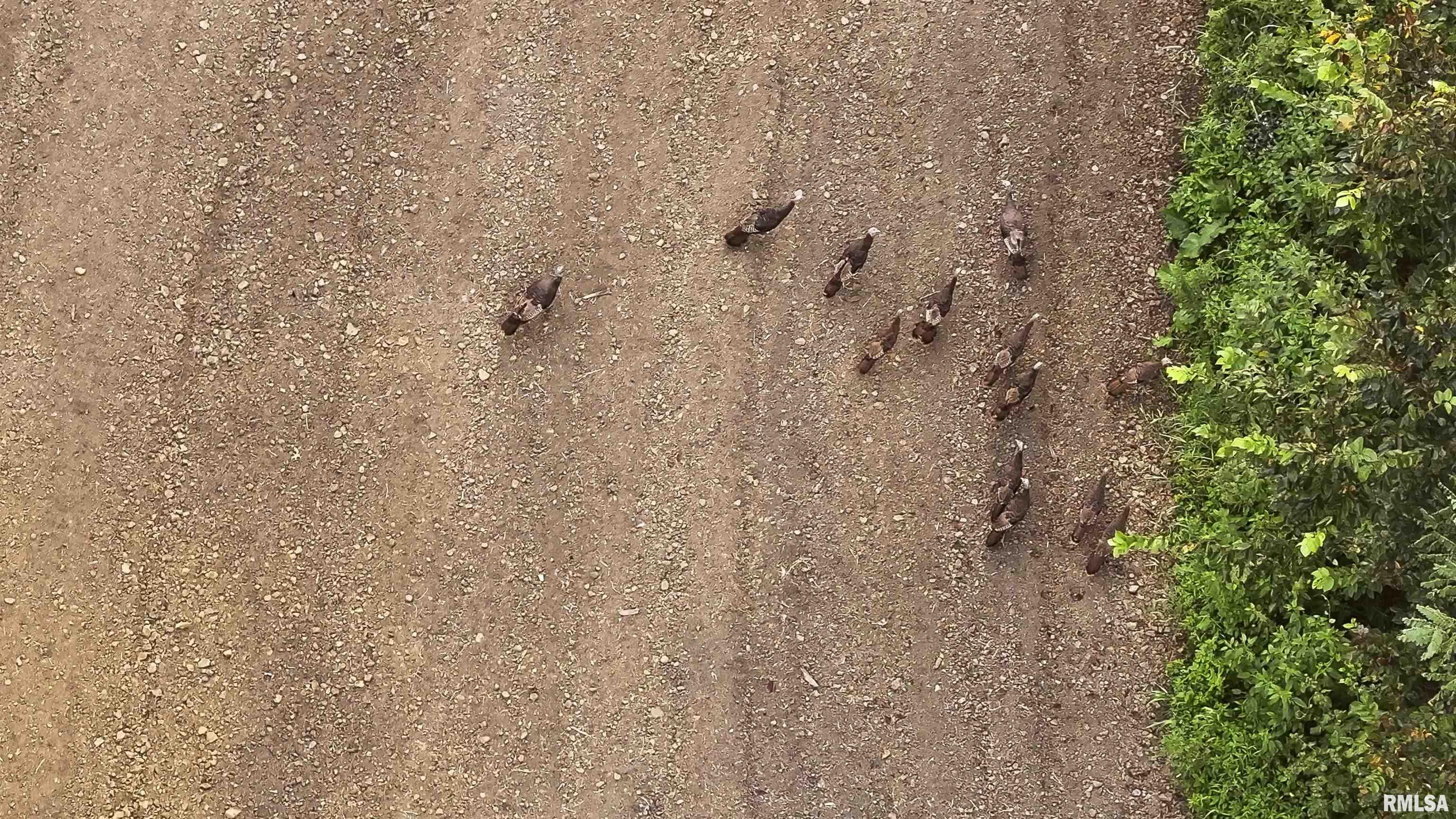 1669 Sherwood Road, Unit 4331 Dahinda, IL 61428 - Photo 14 of 76