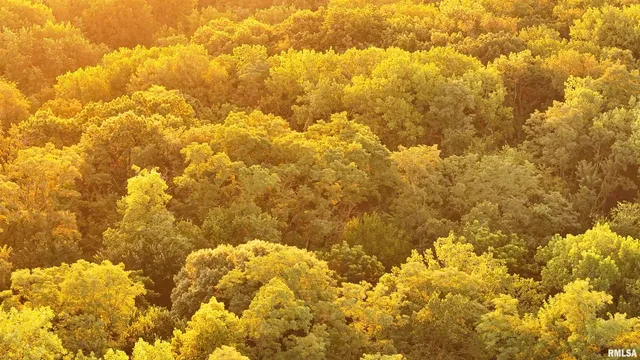 $1,715,500 | 1669 Sherwood Road, Dahinda, IL 61428