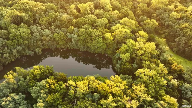 $1,715,500 | 1669 Sherwood Road, Dahinda, IL 61428