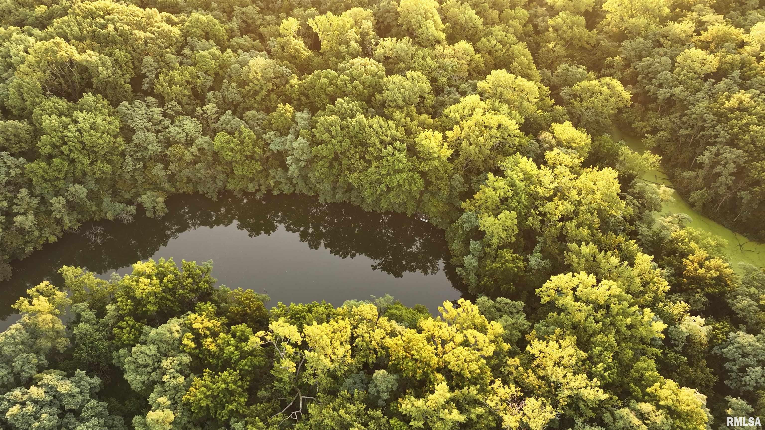 1669 Sherwood Road, Unit 4331 Dahinda, IL 61428 - Photo 16 of 76