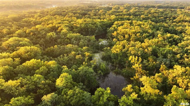 $1,715,500 | 1669 Sherwood Road, Dahinda, IL 61428