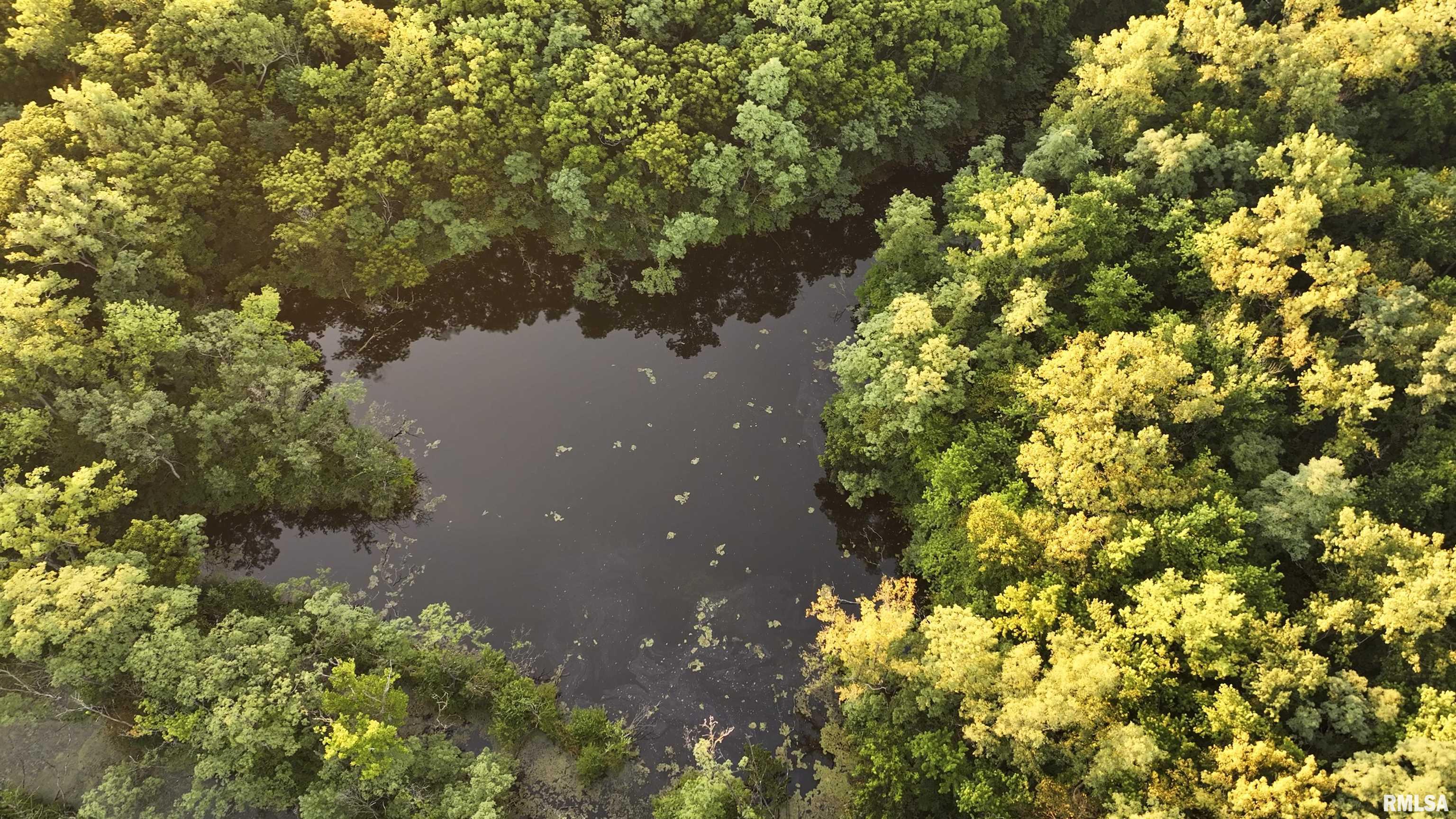 1669 Sherwood Road, Unit 4331 Dahinda, IL 61428 - Photo 19 of 76