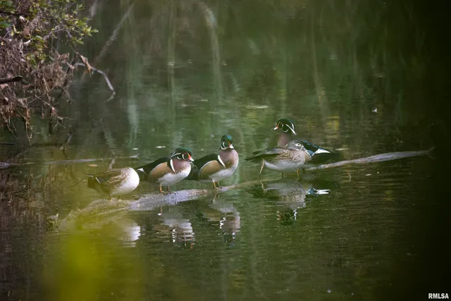 $1,715,500 | 1669 Sherwood Road, Dahinda, IL 61428