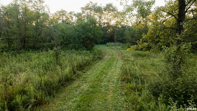 $1,715,500 | 1669 Sherwood Road, Dahinda, IL 61428