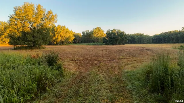 $1,715,500 | 1669 Sherwood Road, Dahinda, IL 61428