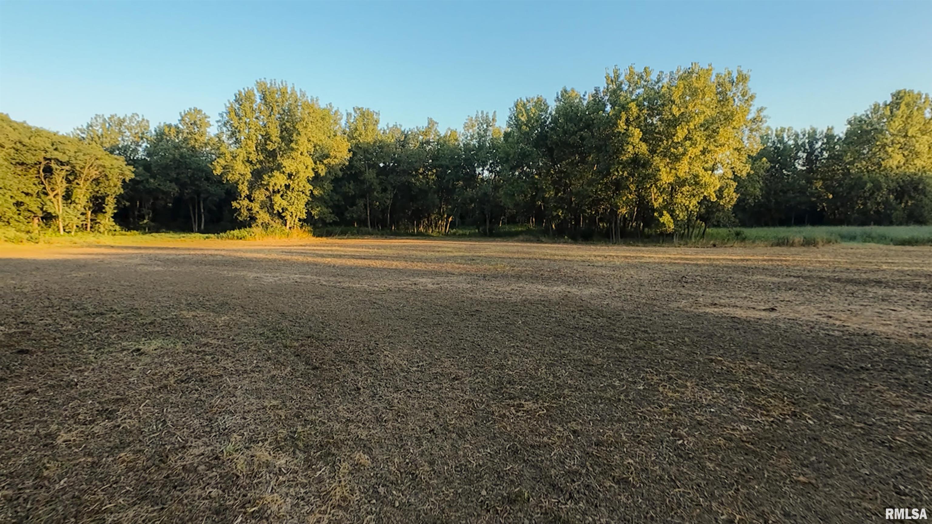 1669 Sherwood Road, Unit 4331 Dahinda, IL 61428 - Photo 23 of 76