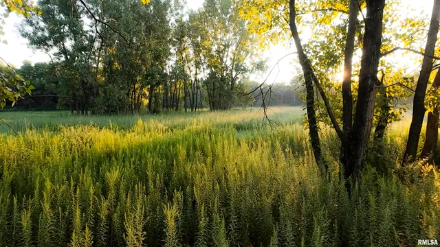 $1,715,500 | 1669 Sherwood Road, Dahinda, IL 61428