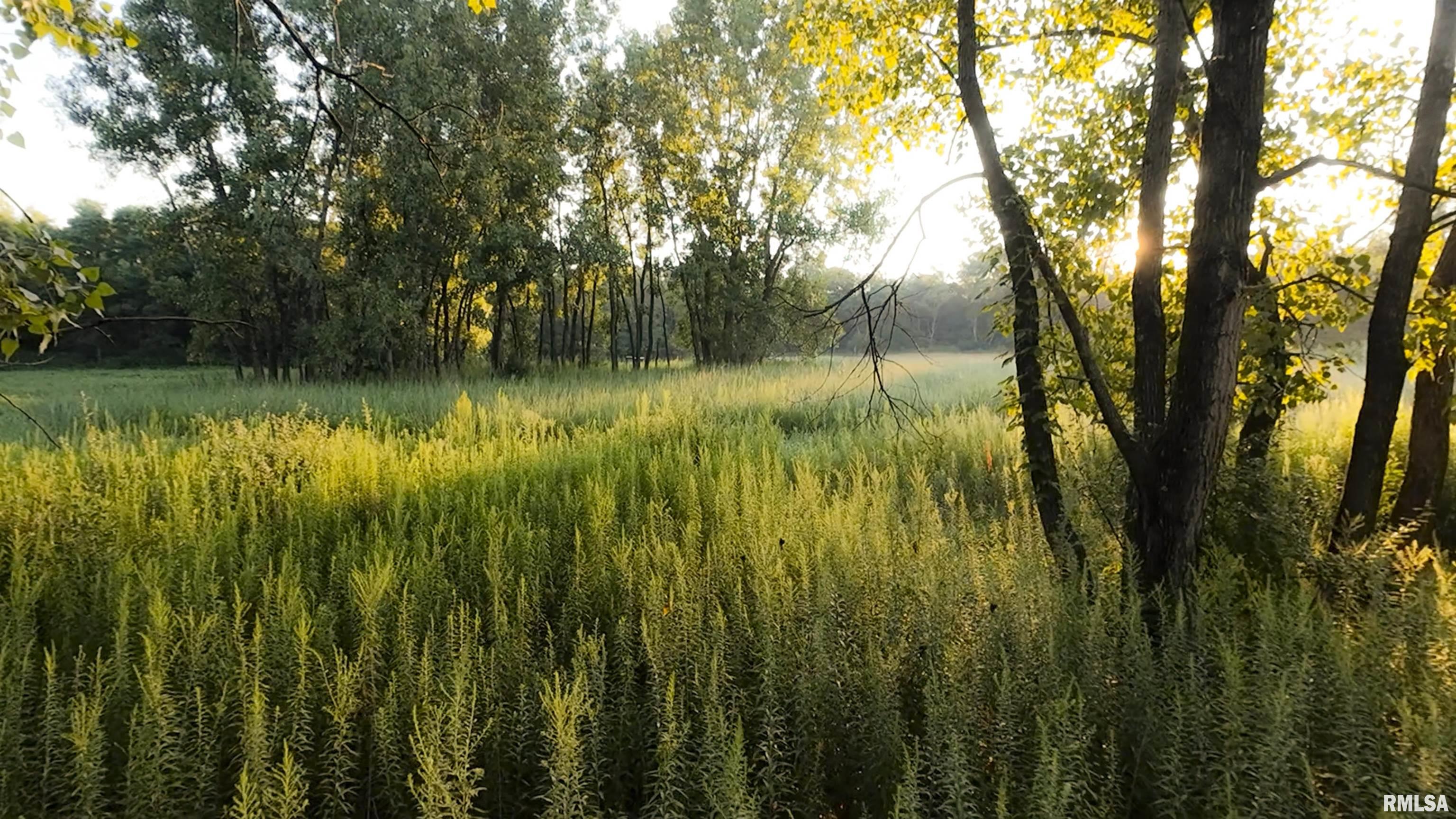 1669 Sherwood Road, Unit 4331 Dahinda, IL 61428 - Photo 28 of 76