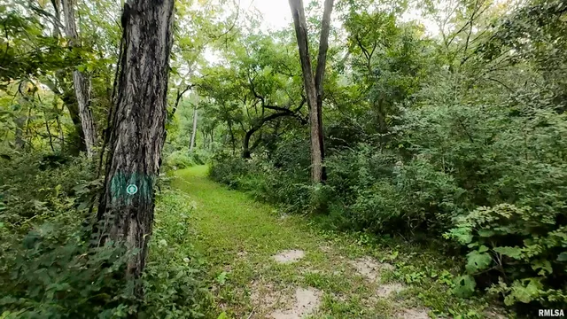 $1,715,500 | 1669 Sherwood Road, Dahinda, IL 61428