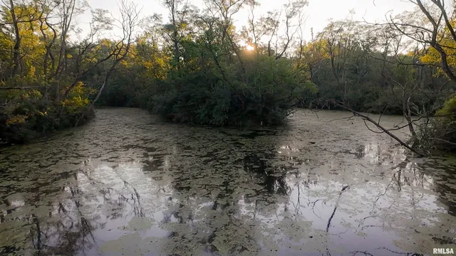 $1,715,500 | 1669 Sherwood Road, Dahinda, IL 61428