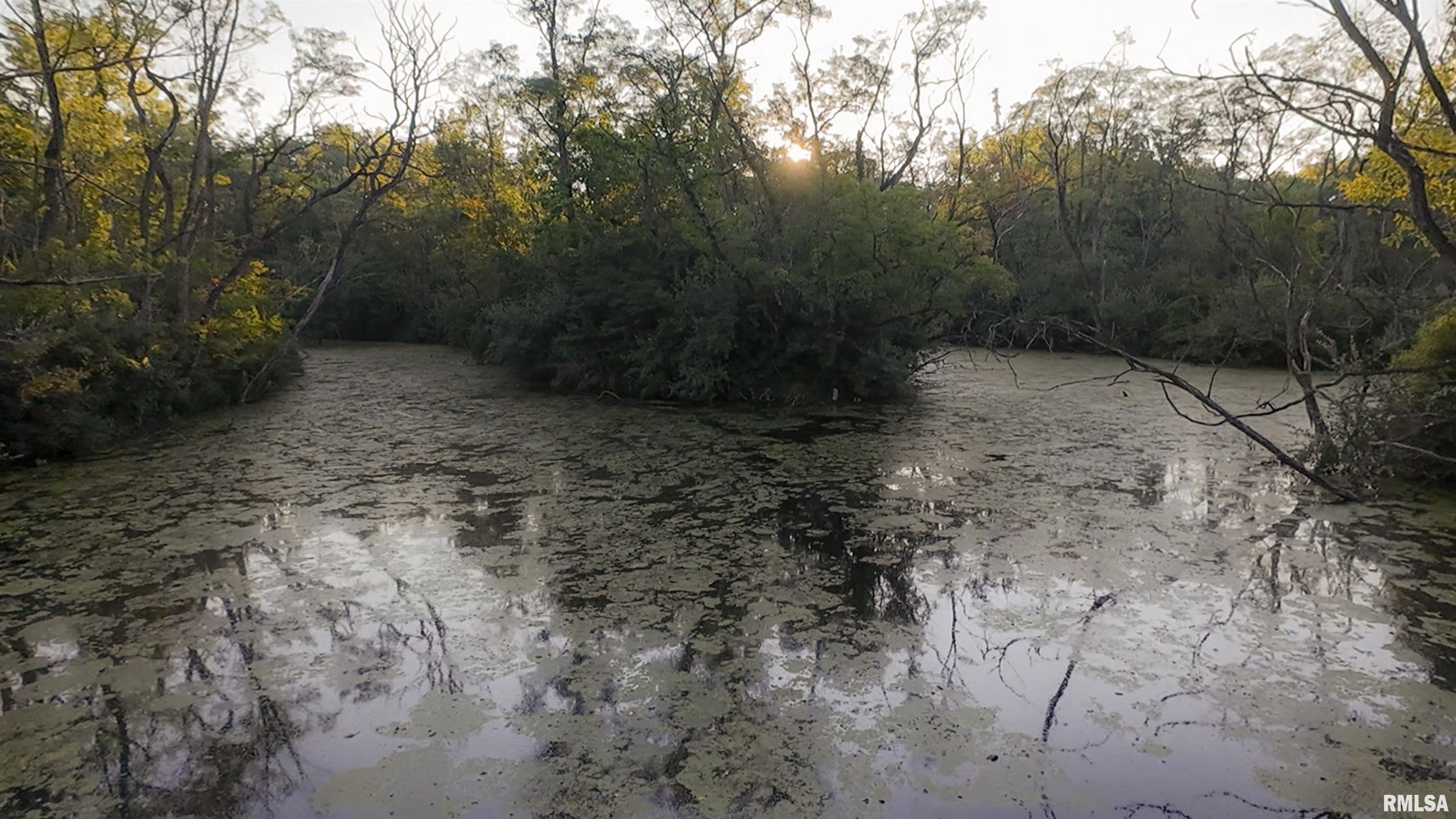 1669 Sherwood Road, Unit 4331 Dahinda, IL 61428 - Photo 30 of 76