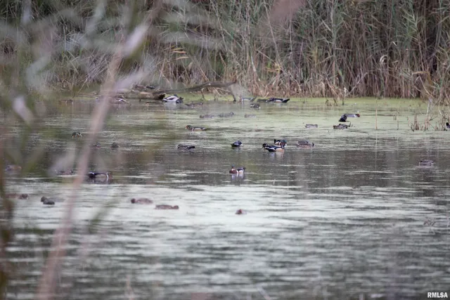 $1,715,500 | 1669 Sherwood Road, Dahinda, IL 61428