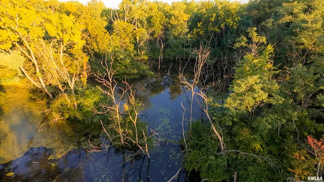 $1,715,500 | 1669 Sherwood Road, Dahinda, IL 61428