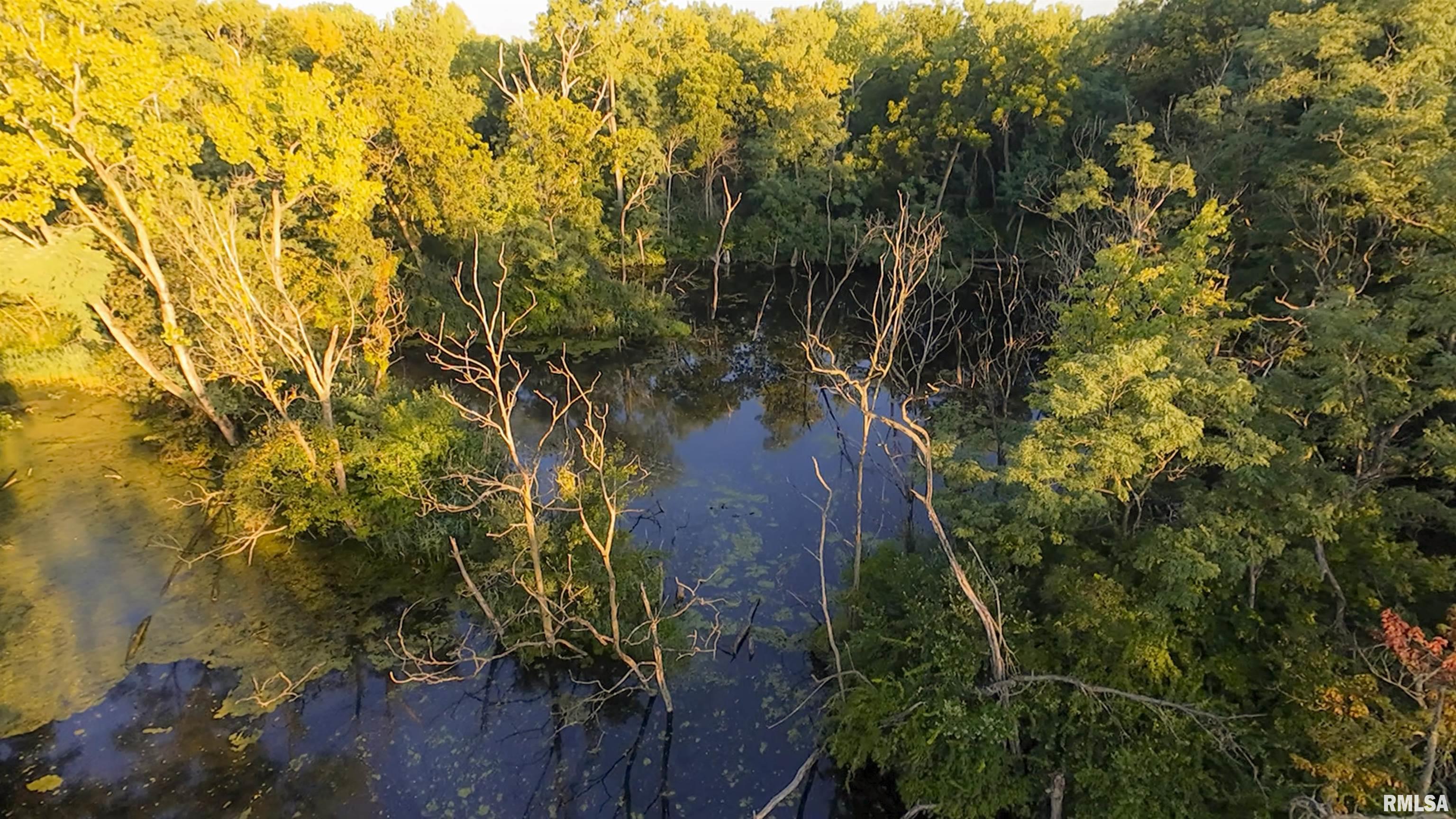 1669 Sherwood Road, Unit 4331 Dahinda, IL 61428 - Photo 33 of 76