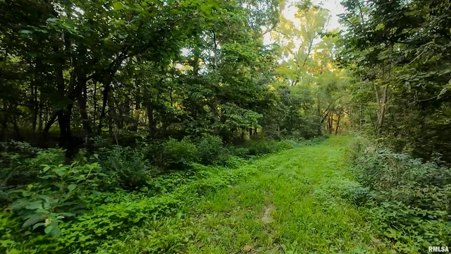 $1,715,500 | 1669 Sherwood Road, Dahinda, IL 61428