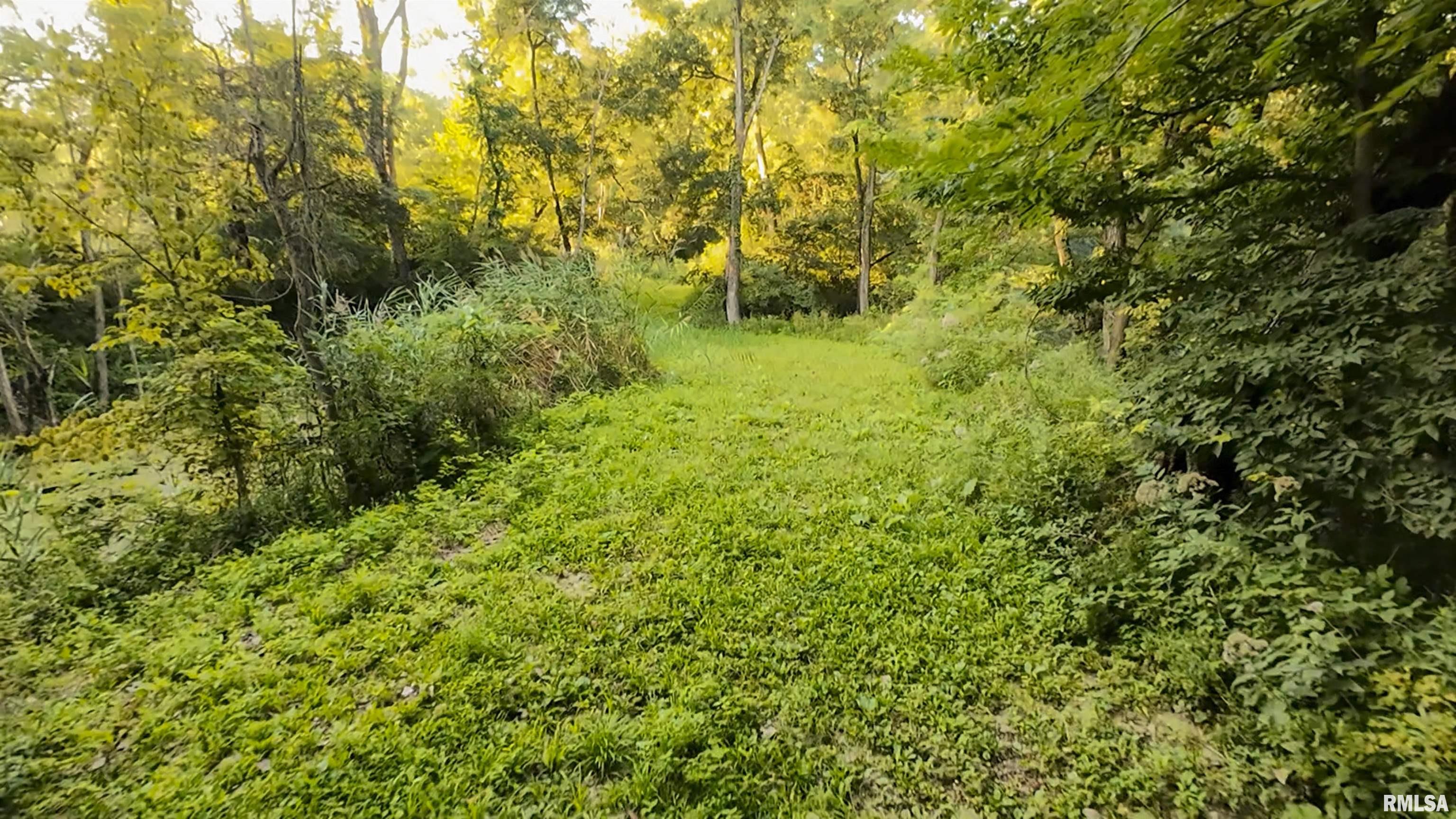 1669 Sherwood Road, Unit 4331 Dahinda, IL 61428 - Photo 35 of 76