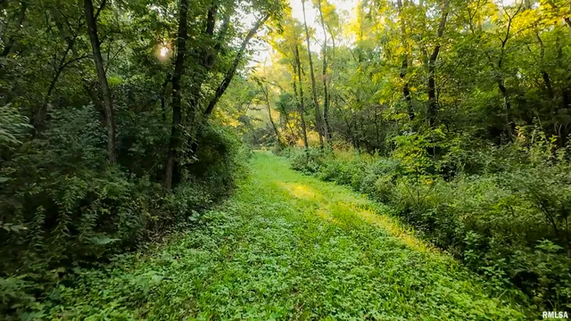 $1,715,500 | 1669 Sherwood Road, Dahinda, IL 61428