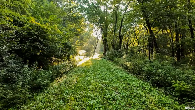 $1,715,500 | 1669 Sherwood Road, Dahinda, IL 61428