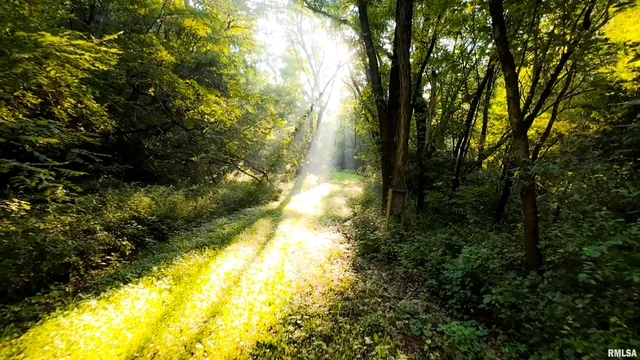 $1,715,500 | 1669 Sherwood Road, Dahinda, IL 61428