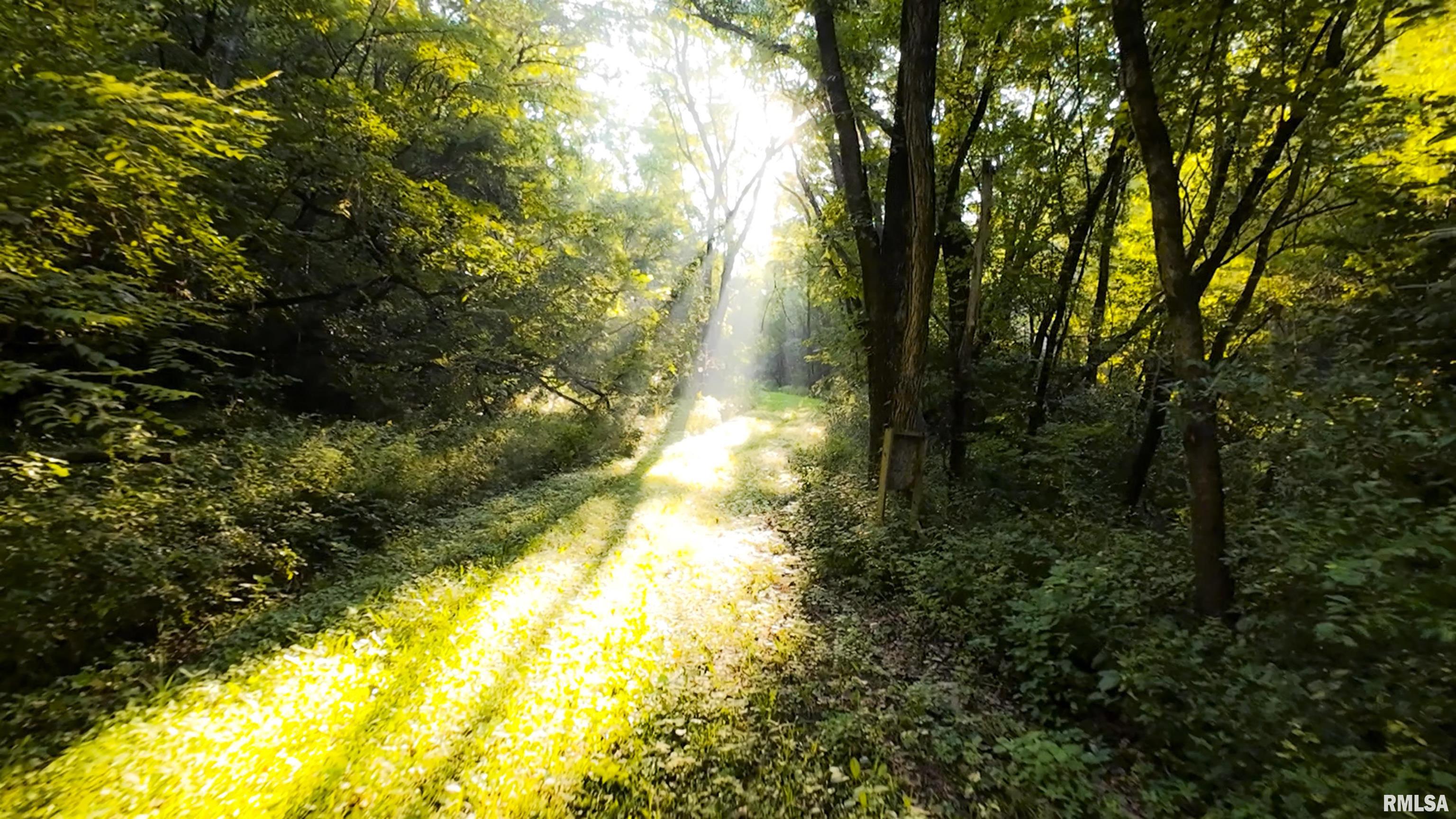 1669 Sherwood Road, Unit 4331 Dahinda, IL 61428 - Photo 38 of 76