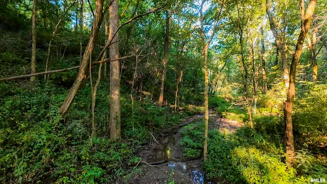 $1,715,500 | 1669 Sherwood Road, Dahinda, IL 61428