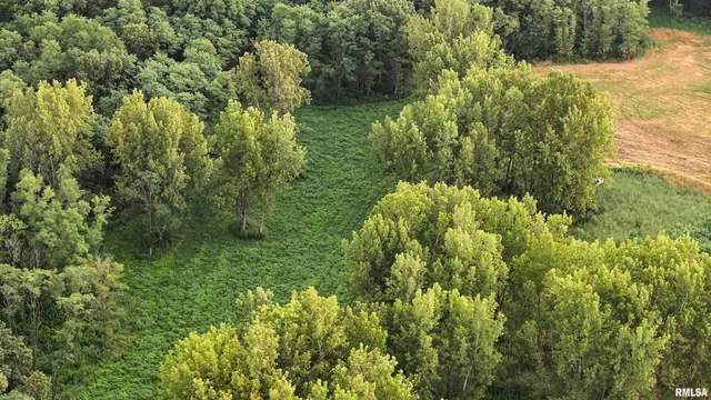 $1,715,500 | 1669 Sherwood Road, Dahinda, IL 61428