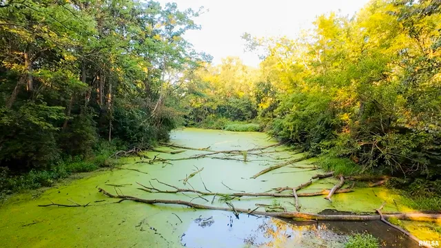 $1,715,500 | 1669 Sherwood Road, Dahinda, IL 61428