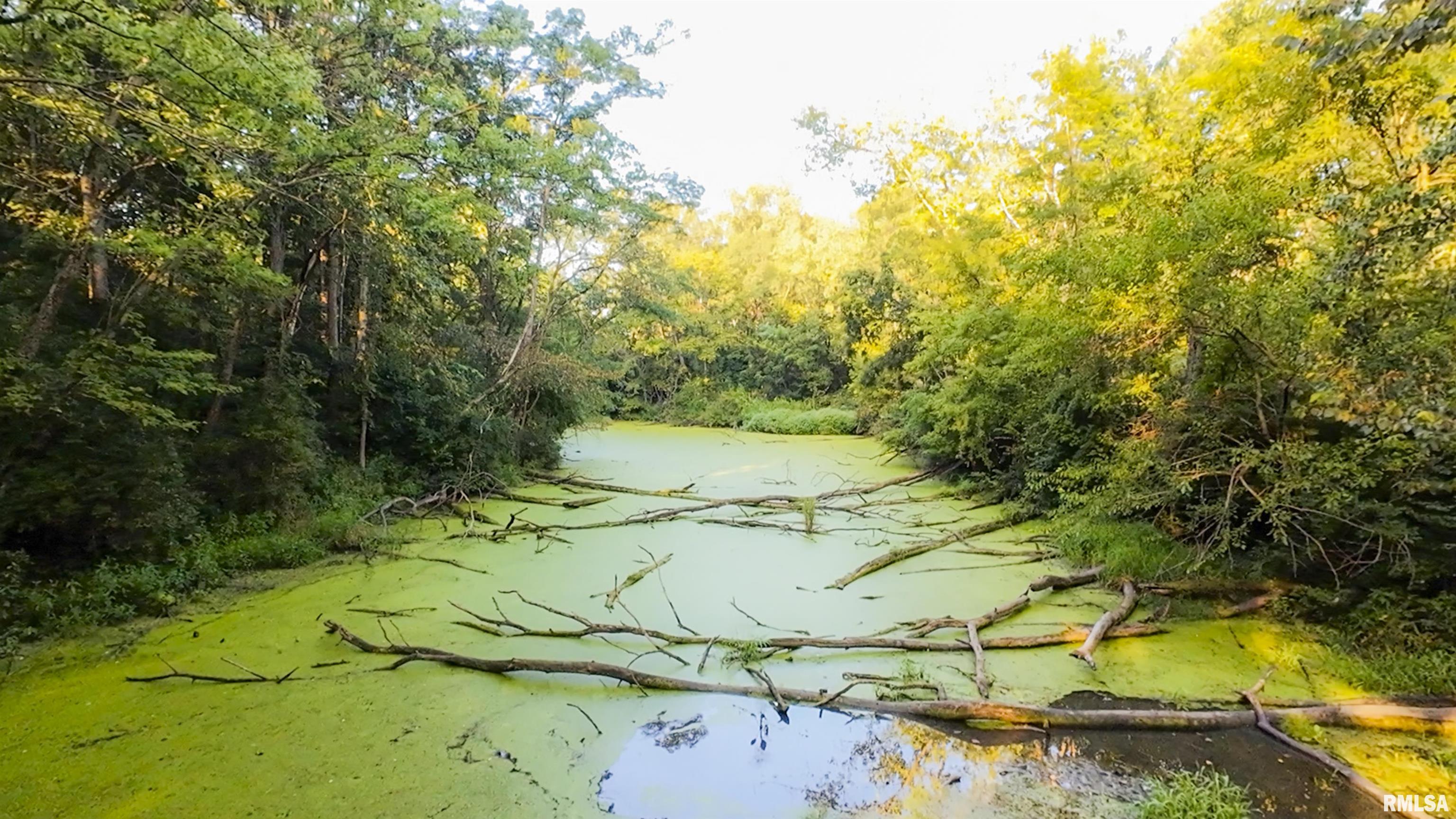 1669 Sherwood Road, Unit 4331 Dahinda, IL 61428 - Photo 41 of 76