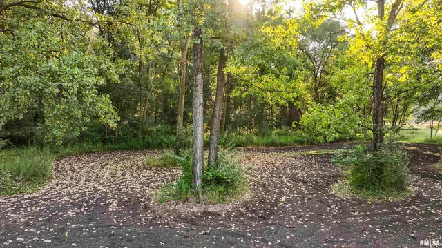 $1,715,500 | 1669 Sherwood Road, Dahinda, IL 61428