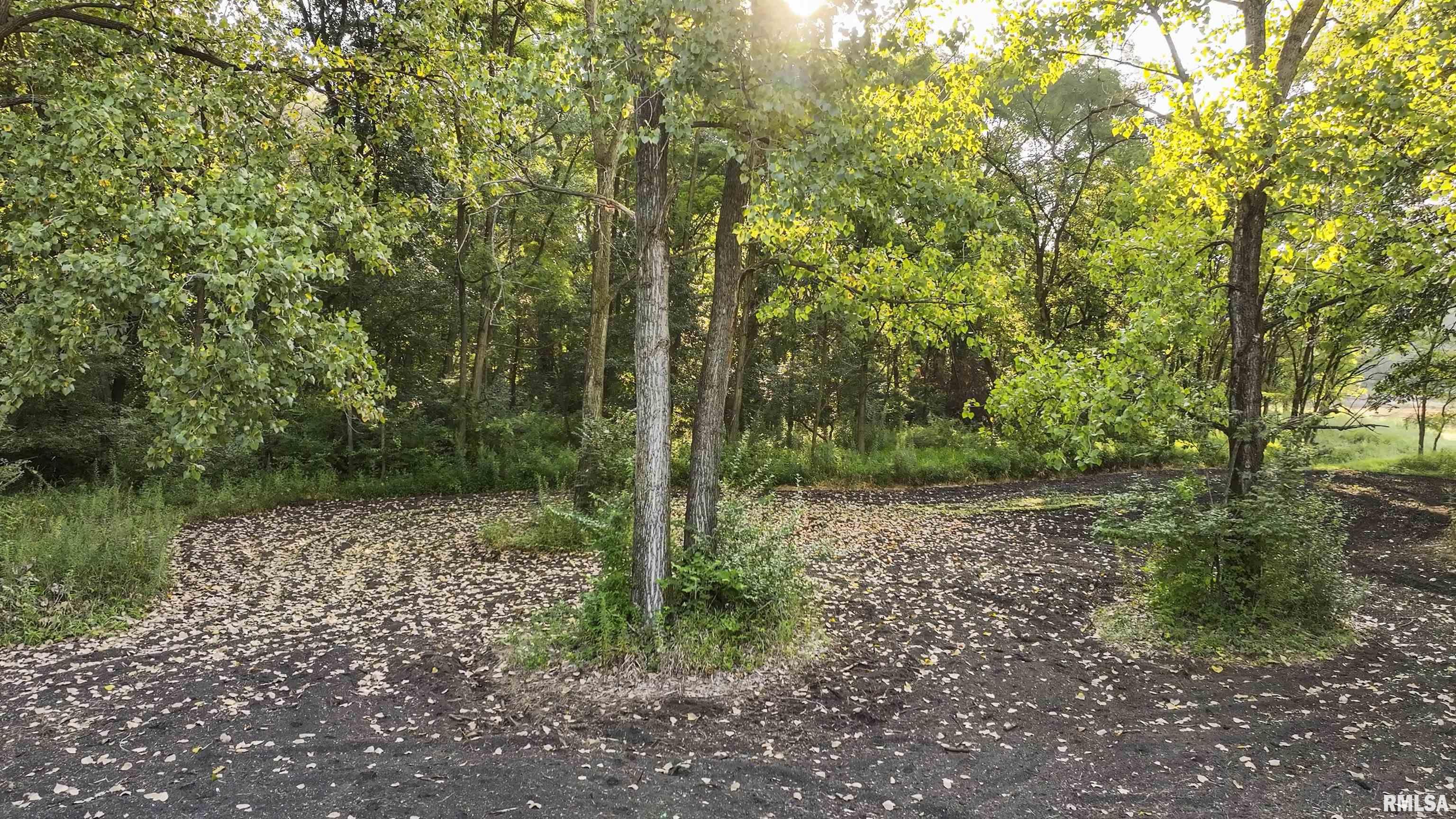 1669 Sherwood Road, Unit 4331 Dahinda, IL 61428 - Photo 43 of 76