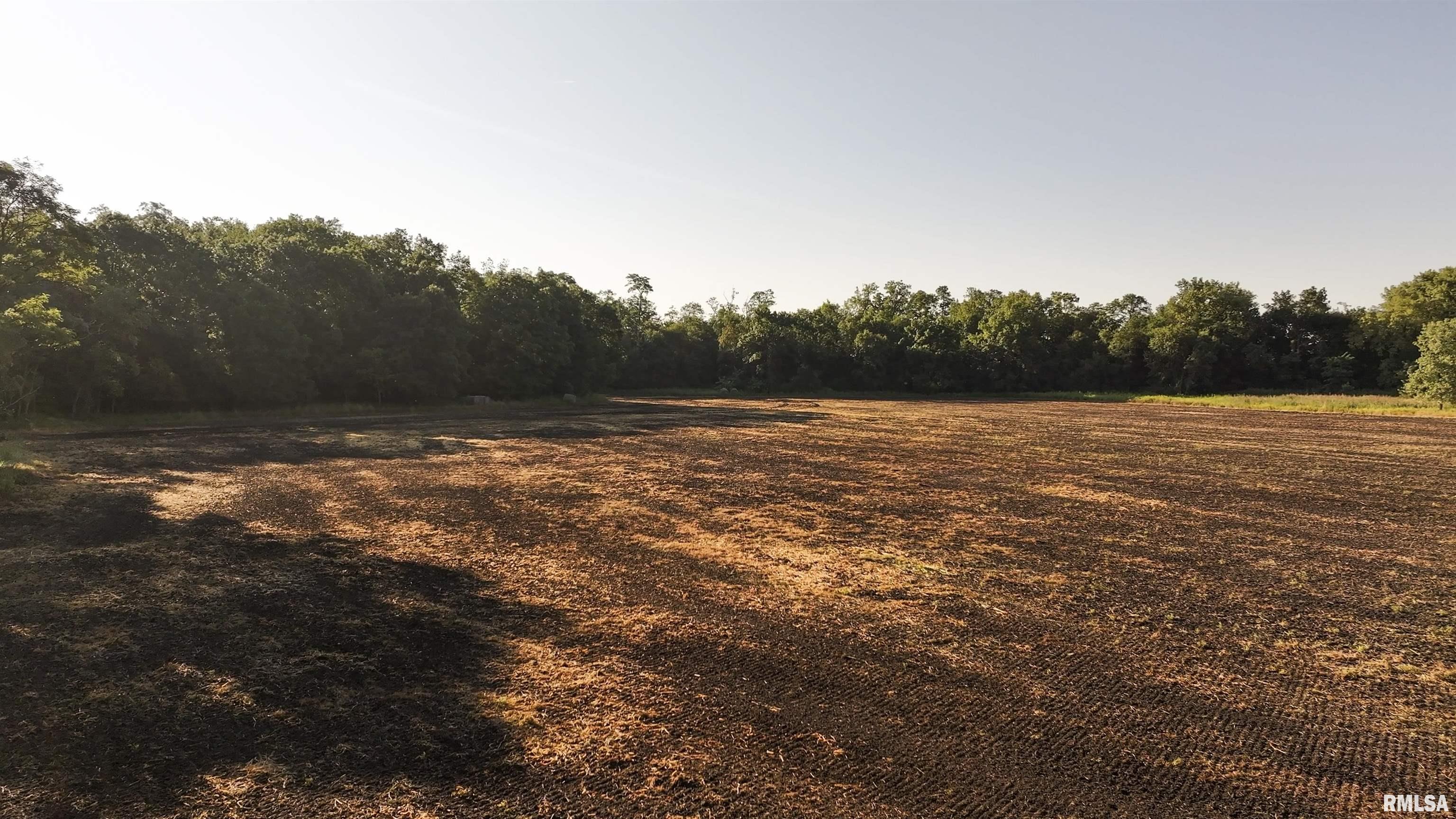 1669 Sherwood Road, Unit 4331 Dahinda, IL 61428 - Photo 44 of 76