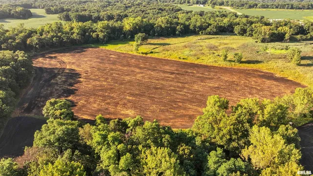 $1,715,500 | 1669 Sherwood Road, Dahinda, IL 61428