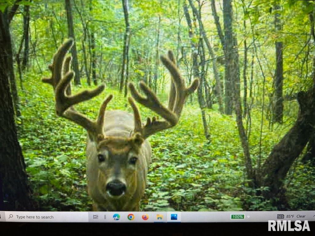 1669 Sherwood Road, Unit 4331 Dahinda, IL 61428 - Photo 47 of 76