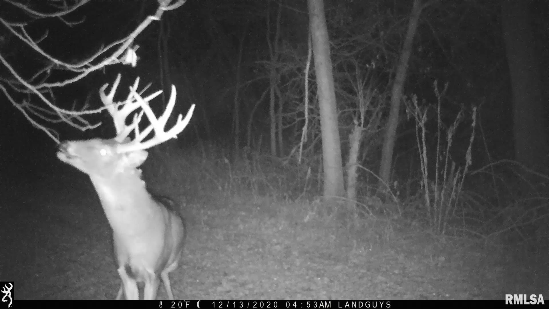 1669 Sherwood Road, Unit 4331 Dahinda, IL 61428 - Photo 49 of 76