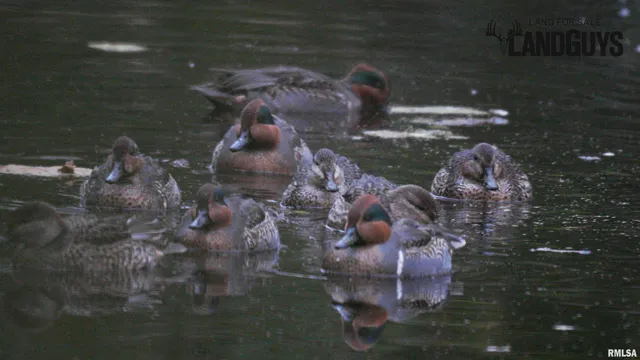 $1,715,500 | 1669 Sherwood Road, Dahinda, IL 61428