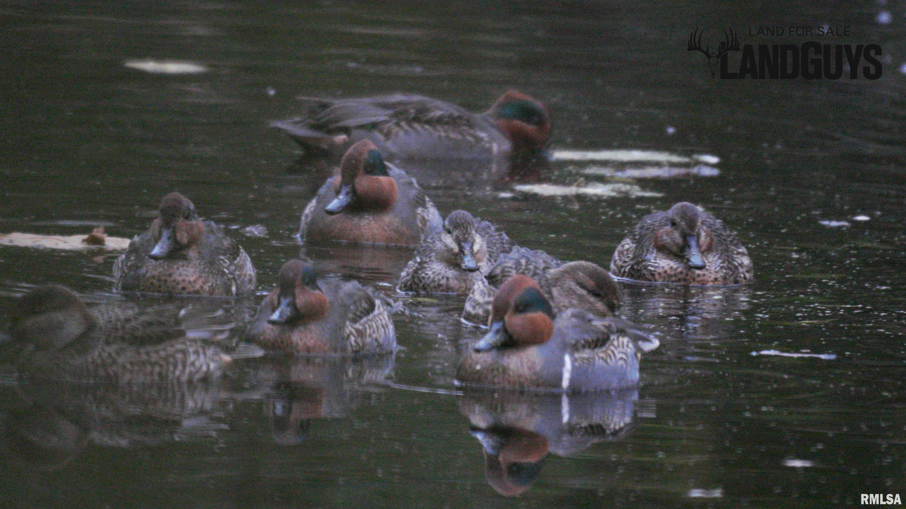 1669 Sherwood Road, Unit 4331 Dahinda, IL 61428 - Photo 5 of 76