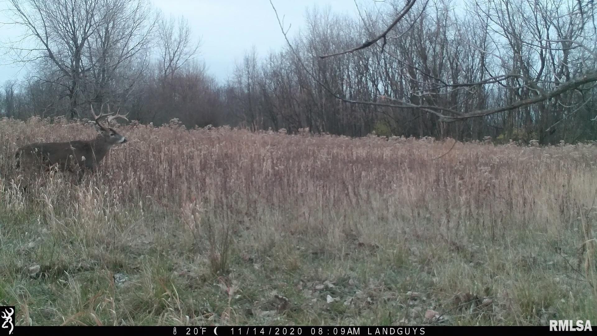 1669 Sherwood Road, Unit 4331 Dahinda, IL 61428 - Photo 52 of 76