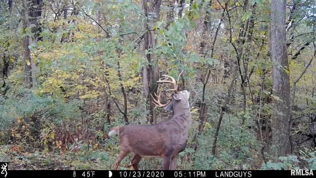 $1,715,500 | 1669 Sherwood Road, Dahinda, IL 61428