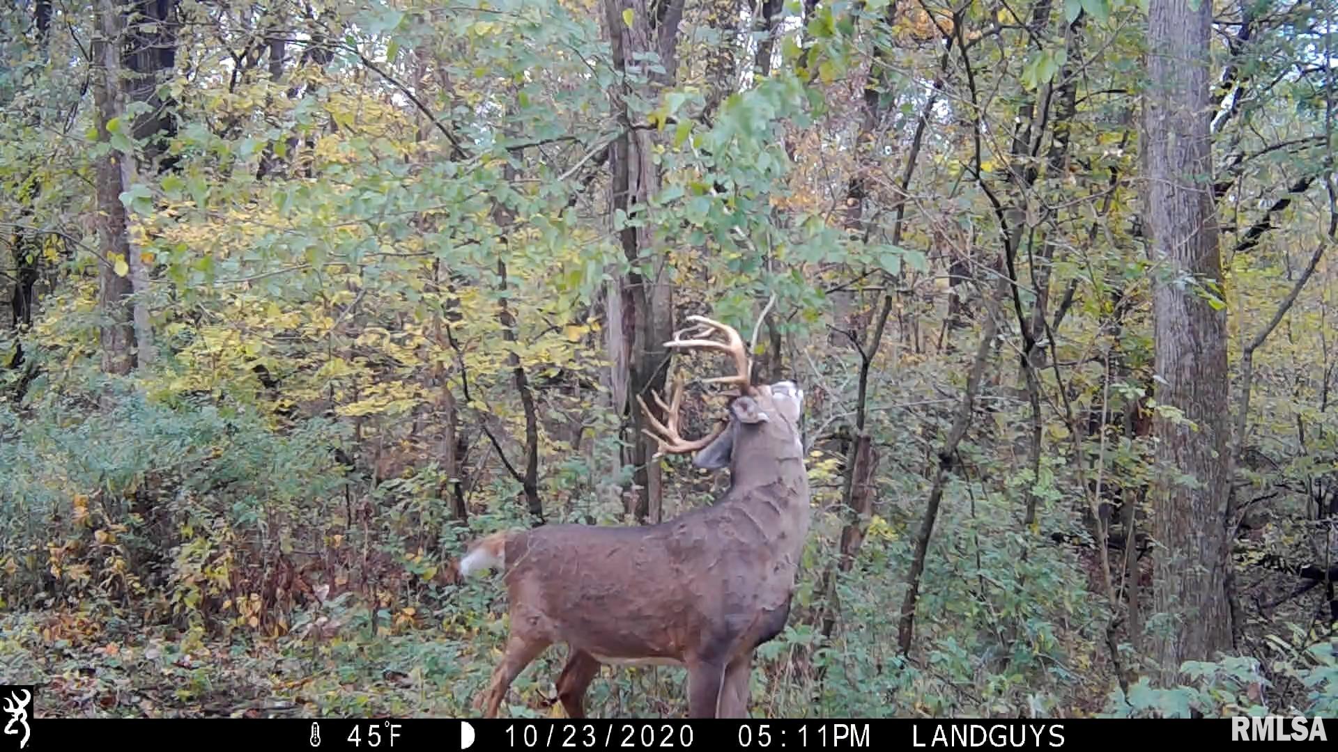 1669 Sherwood Road, Unit 4331 Dahinda, IL 61428 - Photo 55 of 76