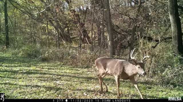 $1,715,500 | 1669 Sherwood Road, Dahinda, IL 61428